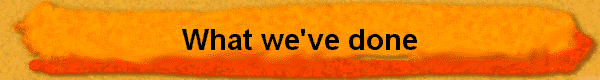  What we've done 